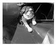 Dog Flying In Aircraft by Bettmann Limited Edition Print