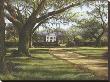 Stately Passage by Lene Alston Casey Limited Edition Print
