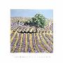 Tree In Lavendar Field by Lydia Bauman Limited Edition Print