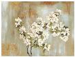 Radiant Blossoms by Allison Pearce Limited Edition Print
