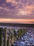 Weathered Groyne And Pebbles At Bossington Beach, Exmoor Np, Somerset, Uk by Adam Burton Limited Edition Print