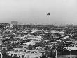 Masses Of New Fords For Export Standing Bumper To Bumper In Huge Open Air-Field At Dagenham Plant by Carl Mydans Limited Edition Pricing Art Print