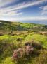 Exmoor Countryside And Coast In Summertime, Exmoor National Park, Somerset, England by Adam Burton Limited Edition Pricing Art Print