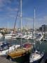 Yachts Moored At Ocean Village Marina, Southampton, Hampshire, England, United Kingdom, Europe by Adam Burton Limited Edition Print