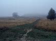 Pathway On A Foggy Day by Images Monsoon Limited Edition Print