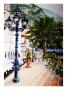 Mediterranean Style Plaza With Cafe And Palm Tree by Images Monsoon Limited Edition Print