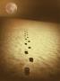 Footprints Across The Sands Of Time Toward Africa by Ilona Wellmann Limited Edition Print