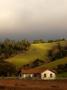 Prairie Farmhouse, California, Usa by Bob Cornelis Limited Edition Print