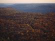 Aerial View In The Fall Shows The Cumberland Plateau Of Tennessee by Stephen Alvarez Limited Edition Print
