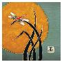 Jewel In Summer Stillness Ii by Sybil Shane Limited Edition Print