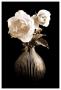 Lighted White Roses by Christine Zalewski Limited Edition Pricing Art Print