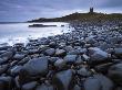 Stormy Morning On The Coast Beside Dunstanburgh Castle, Dunstanburgh, Northumberland, England, Uk by Adam Burton Limited Edition Print