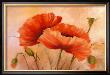 Poppy by Laura Lynen Limited Edition Pricing Art Print