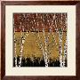 Autumn Birches Ii by Guido Borelli Limited Edition Print