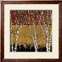 Autumn Birches Ii by Guido Borelli Limited Edition Print