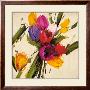 Bouquet by Antonio Massa Limited Edition Pricing Art Print