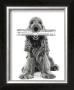 Dog News by Jean-Michel Labat Limited Edition Print