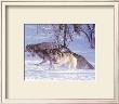 Wolf Pack Hunt by Tom Brakefield Limited Edition Print