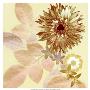 Strawflower Garden I by Francine Funke Limited Edition Pricing Art Print