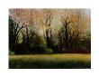 Sunlit Autumn by Miguel Dominguez Limited Edition Print