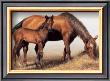 Mare And Foal by V. I. Thurmond Limited Edition Pricing Art Print