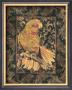 Golden Parrot I by Dwight Wood Limited Edition Print