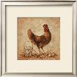 Home To Roost by Peggy Thatch Sibley Limited Edition Print