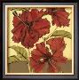 Cropped Sophisticated Hibiscus I by Jennifer Goldberger Limited Edition Print