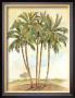 Palm Tree Iii by Bradley H. Clark Limited Edition Print