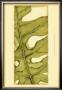 Custom Graphic Palms Vi by Jennifer Goldberger Limited Edition Print