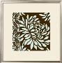 Striking Chrysanthemums Ii by Nancy Slocum Limited Edition Print