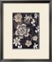 Sepia Floral I by Francine Funke Limited Edition Print