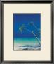 Palm Persuasion Ll by Fred Fieber Limited Edition Print