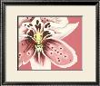 Orchid Ii by Nancy Slocum Limited Edition Pricing Art Print