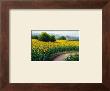 Field Of Sunflowers by Gerhard Nesvadba Limited Edition Pricing Art Print
