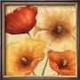 Poppy Spice Iii by Daphne Brissonnet Limited Edition Pricing Art Print
