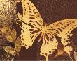 Gilded Butterfly History by Matina Theodosiou Limited Edition Print