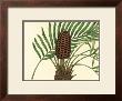 Palmetto Iii by Zachary Alexander Limited Edition Pricing Art Print