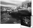 Rocks And Trees At Barker Dam In Joshua Tree National Park by A.D. Limited Edition Print