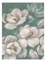 Spring Magnolias I by Julia Hawkins Limited Edition Pricing Art Print