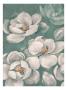 Spring Magnolias I by Julia Hawkins Limited Edition Pricing Art Print