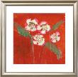 Orchid Study Iii by Maeve Harris Limited Edition Print