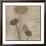 Linen Ii by Maja Limited Edition Print