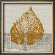 Golden Leaves Ii by S. Hadley Limited Edition Pricing Art Print