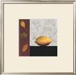 Lemon And Leaves by John Boyd Limited Edition Print