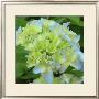 June's Treasure Iii by Alicia Ludwig Limited Edition Print