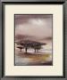 Resting Place I by Jan Eelse Noordhuis Limited Edition Print