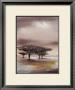 Resting Place I by Jan Eelse Noordhuis Limited Edition Pricing Art Print