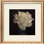 Gardenia In Green Vase by Carnochan Limited Edition Pricing Art Print