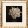 Gardenia In Green Vase by Carnochan Limited Edition Print